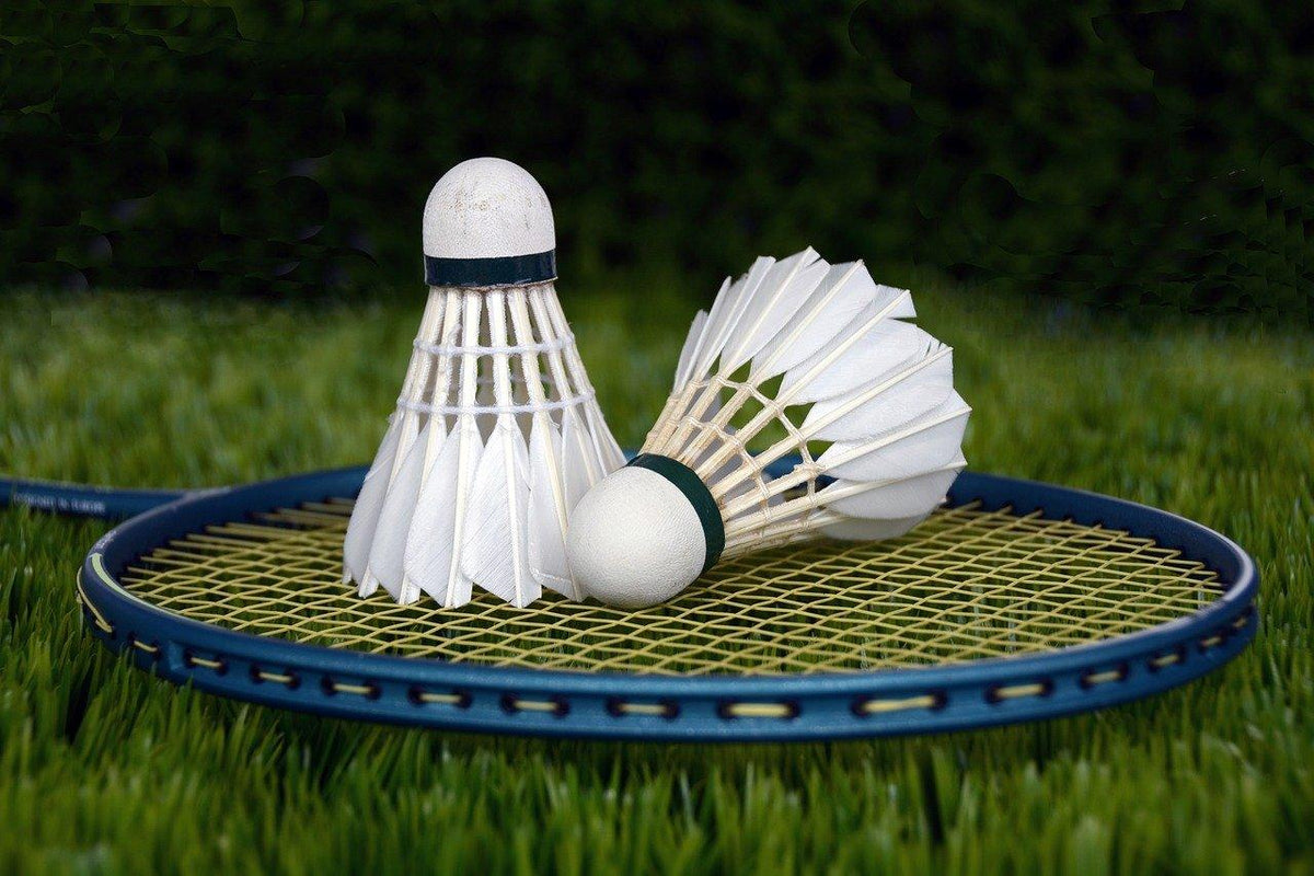 badminton-the-ultimate-guide-to-the-racquet-sport-460186